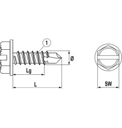 Vis auto perceuse L, acier zingué avec collerette pressée